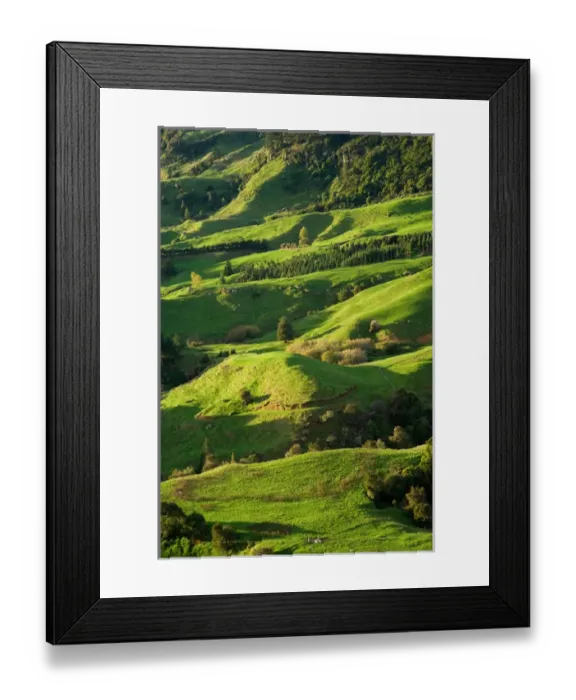 Framed Print : Farmland near Te Kuiti, King Country, North Island, New Zealand