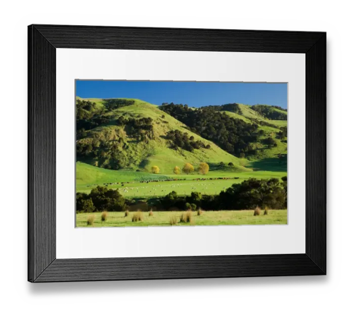 Framed Print : Farmland near Martinborough, Wairarapa, North Island, New Zealand Framed Print : Farmland near Martinborough, Wairarapa, North Island, New Zealand