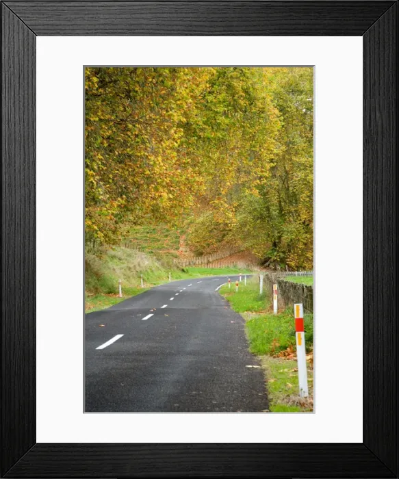 Framed Print : Autumn Colour and Road, Tokirima, King Country, North Island, New Zealand Framed Print : Autumn Colour and Road, Tokirima, King Country, North Island, New Zealand