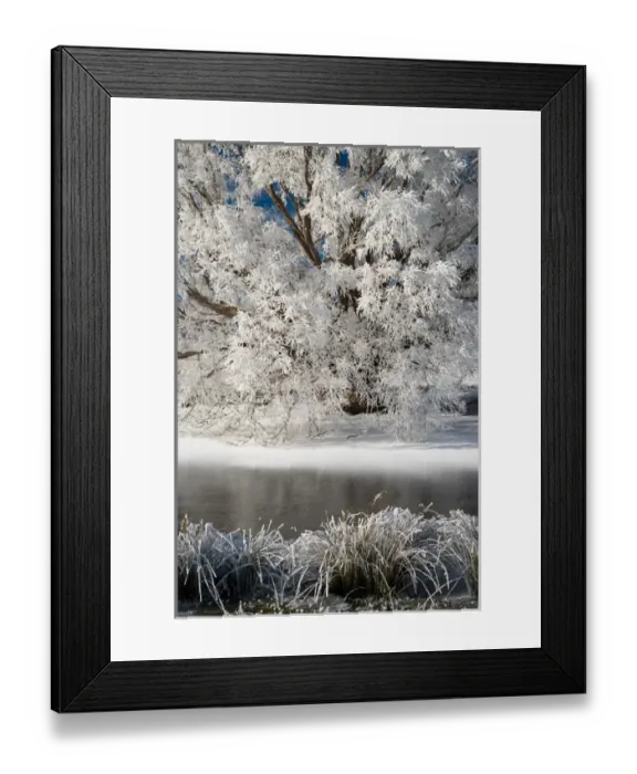 Framed Print : Hoar Frost on Willow Tree, near Omakau, Central Otago, South Island, New Zealand Framed Print : Hoar Frost on Willow Tree, near Omakau, Central Otago, South Island, New Zealand