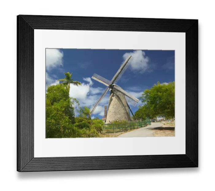 Framed Print : BARBADOS-North East Coast-Morgan Lewis: Morgan Lewis Sugar Mill Largest Intact Framed Print : BARBADOS-North East Coast-Morgan Lewis: Morgan Lewis Sugar Mill Largest Intact