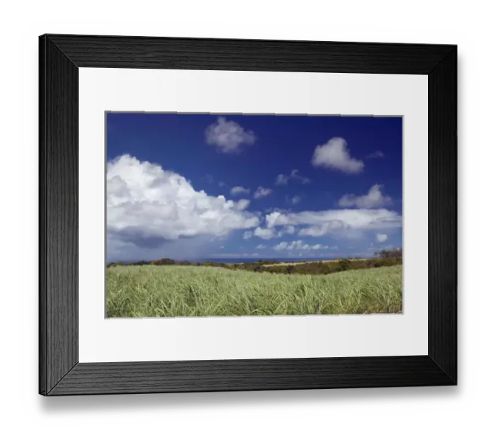 Framed Print : BARBADOS-North East Coast-St. Nicholas Abbey: St. Nicholas Abbey Sugar Plantation