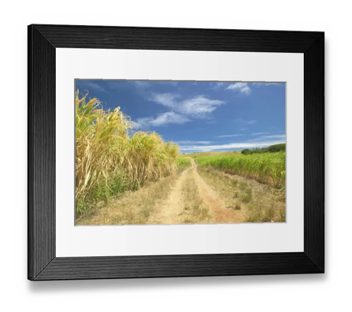 Framed Print : BARBADOS-North East Coast-St. Nicholas Abbey: St. Nicholas Abbey Sugar Plantation Framed Print : BARBADOS-North East Coast-St. Nicholas Abbey: St. Nicholas Abbey Sugar Plantation