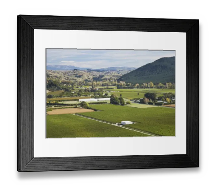 Framed Print : Vineyard, Eskdale, near Napier, Hawkes Bay, North Island, New Zealand Framed Print : Vineyard, Eskdale, near Napier, Hawkes Bay, North Island, New Zealand