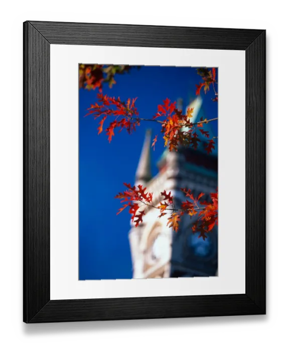 Framed Print : University of Otago, Dunedin Framed Print : University of Otago, Dunedin