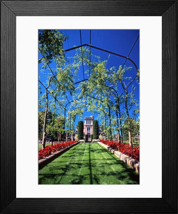 Framed Print : Larnach Castle, Dunedin Framed Print : Larnach Castle, Dunedin