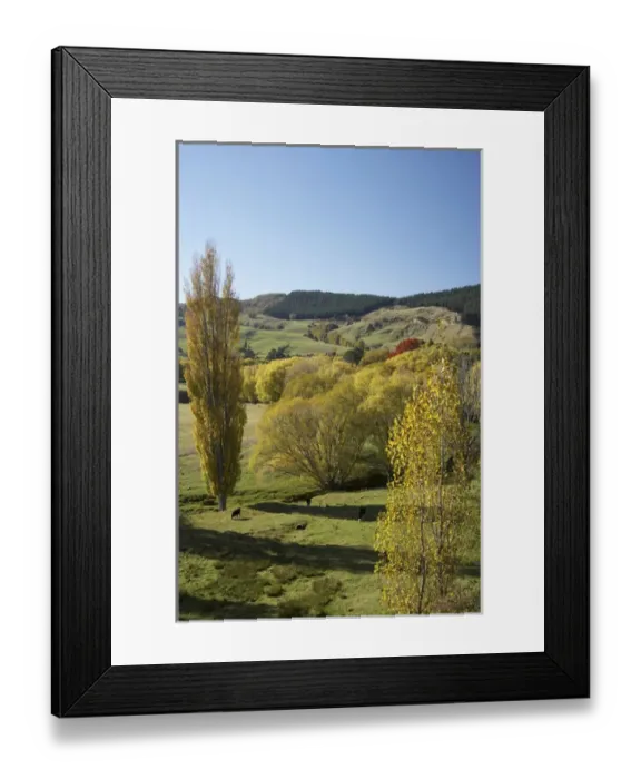 Framed Print : Farmland, Esk Valley, near Napier, Hawkes Bay, North Island, New Zealand Framed Print : Farmland, Esk Valley, near Napier, Hawkes Bay, North Island, New Zealand
