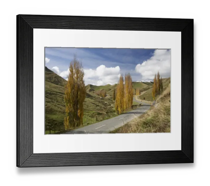 Framed Print : Road and Autumn Colour, near Ruanui, Rangitikei District Central North Island, New Framed Print : Road and Autumn Colour, near Ruanui, Rangitikei District Central North Island, New