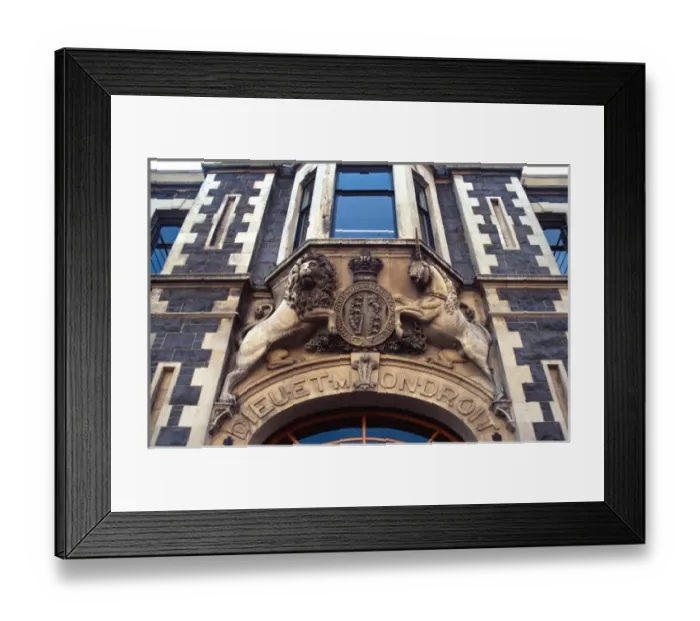 Framed Print : Garrison Hall, Dowling Street, Dunedin (Natural History NZs Headquarters)