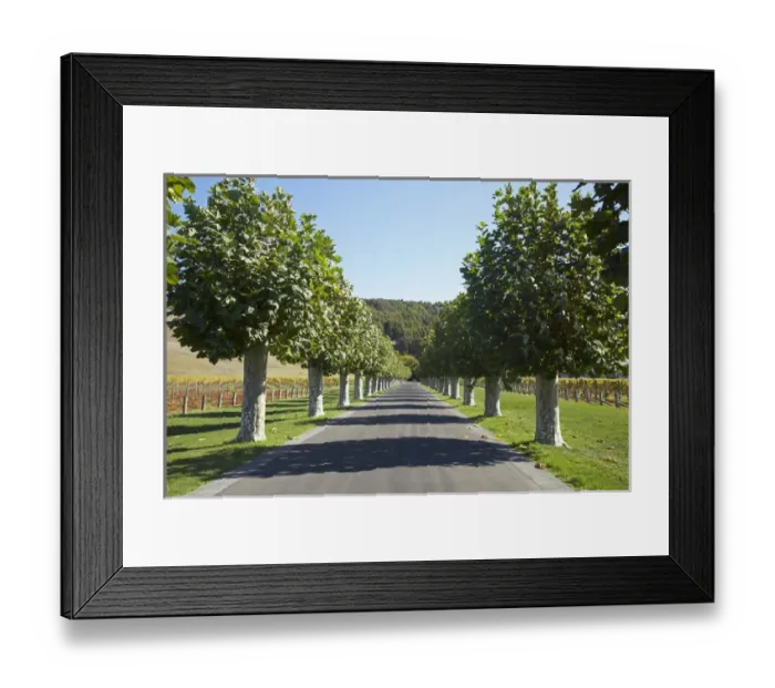 Framed Print : Mission Estate Winery (established 1851), Napier, Hawkes Bay, North Island, New Zealand Framed Print : Mission Estate Winery (established 1851), Napier, Hawkes Bay, North Island, New Zealand