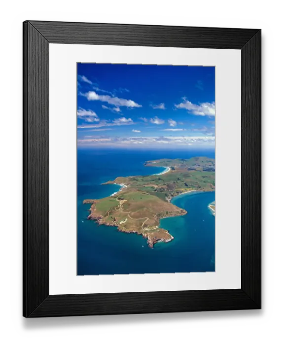 Framed Print : Taiaroa Head, Otago Peninsula and entrance to Otago Harbour, near Dunedin Framed Print : Taiaroa Head, Otago Peninsula and entrance to Otago Harbour, near Dunedin