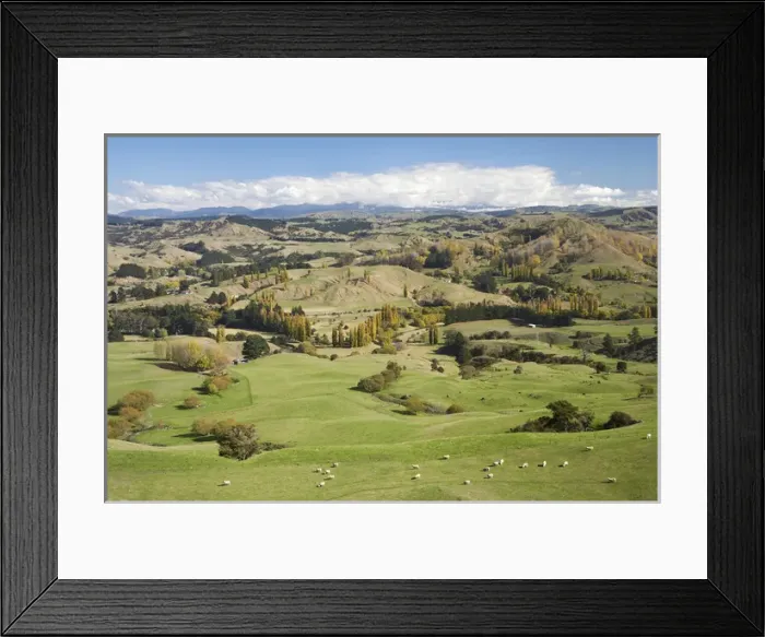 Framed Print : Farmland, Esk Valley, near Napier, Hawkes Bay, North Island, New Zealand