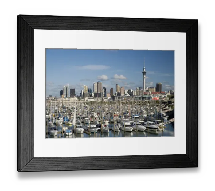 Framed Print : Westhaven Marina, Auckland, North Island, New Zealand Framed Print : Westhaven Marina, Auckland, North Island, New Zealand
