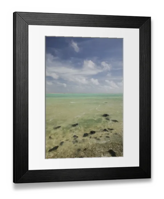 Framed Print : ABC Islands - BONAIRE - Oranje Pan: The Pelelmeer / Salt Lake Framed Print : ABC Islands - BONAIRE - Oranje Pan: The Pelelmeer / Salt Lake