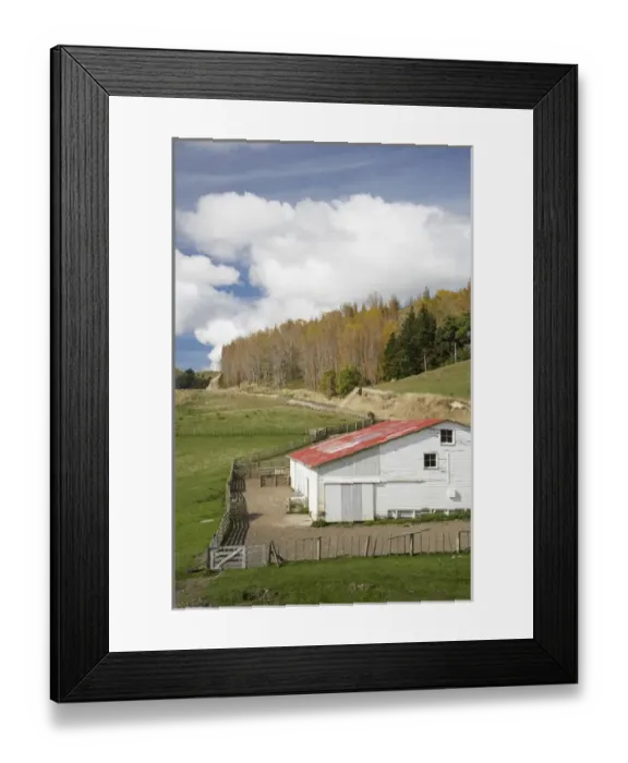 Framed Print : Shearing Shed near Mataroa, Rangitikei District Central North Island, New Zealand