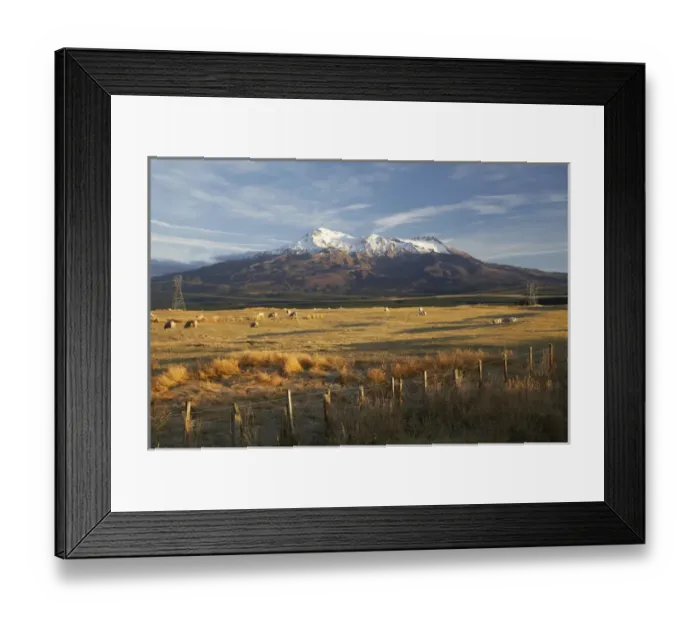 Framed Print : Early Light, Mt Ruapehu, Tongariro National Park, Central Plateau, North Island Framed Print : Early Light, Mt Ruapehu, Tongariro National Park, Central Plateau, North Island