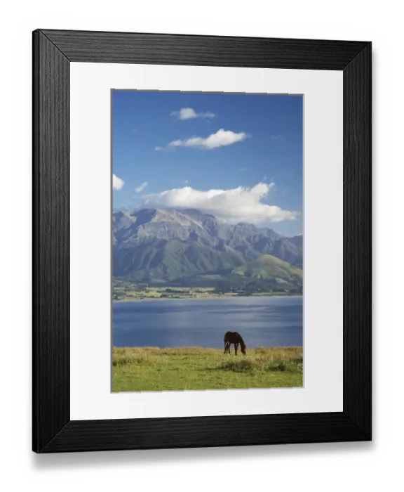 Framed Print : Horse, Kaikoura and Seaward Kaikoura Ranges, Marlborough, South Island, New Zealand Framed Print : Horse, Kaikoura and Seaward Kaikoura Ranges, Marlborough, South Island, New Zealand