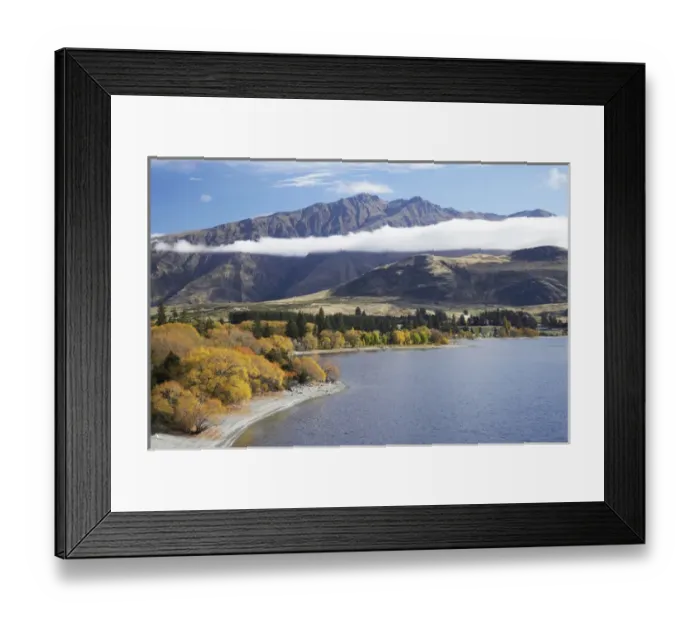 Framed Print : Glendhu Bay, Lake Wanaka, Otago, South Island, New Zealand Framed Print : Glendhu Bay, Lake Wanaka, Otago, South Island, New Zealand