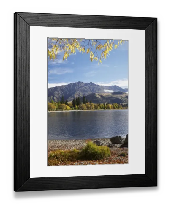 Framed Print : Glendhu Bay, Lake Wanaka, Otago, South Island, New Zealand