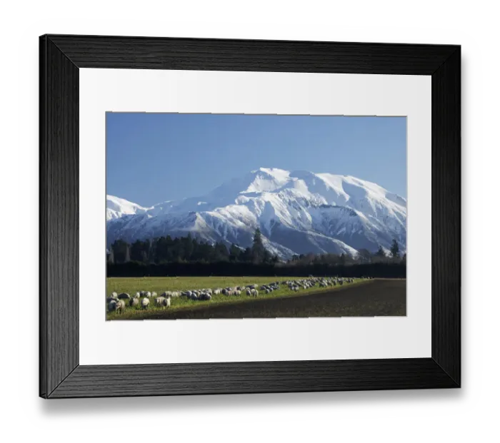 Framed Print : Mount Hutt, Mid Canterbury, South Island, New Zealand Framed Print : Mount Hutt, Mid Canterbury, South Island, New Zealand