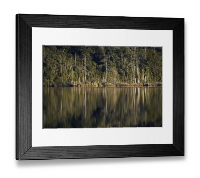 Framed Print : Native Forest Reflected in Lake Mahinapua, near Hokitika, West Coast, South Island Framed Print : Native Forest Reflected in Lake Mahinapua, near Hokitika, West Coast, South Island