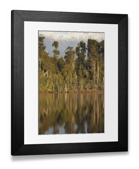 Framed Print : Native Forest Reflected in Lake Mahinapua, near Hokitika, West Coast, South Island Framed Print : Native Forest Reflected in Lake Mahinapua, near Hokitika, West Coast, South Island