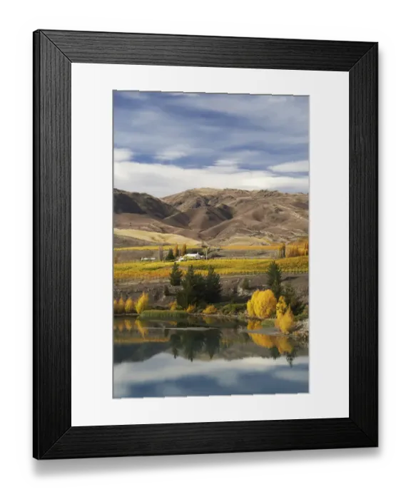 Framed Print : Cairnmuir Vineyard & Lake Dunstan, Bannockburn, Central Otago, South island, New Zealand Framed Print : Cairnmuir Vineyard & Lake Dunstan, Bannockburn, Central Otago, South island, New Zealand