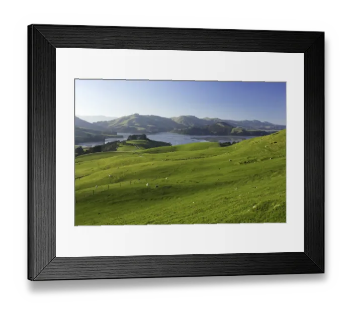 Framed Print : Farmland and Hoopers Inlet, Otago Peninsula, Dunedin, South Island, New Zealand Framed Print : Farmland and Hoopers Inlet, Otago Peninsula, Dunedin, South Island, New Zealand