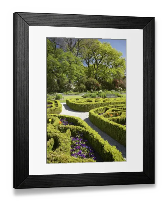 Framed Print : Knot Garden, Dunedin Botanic Garden, Dunedin, South Island, New Zealand