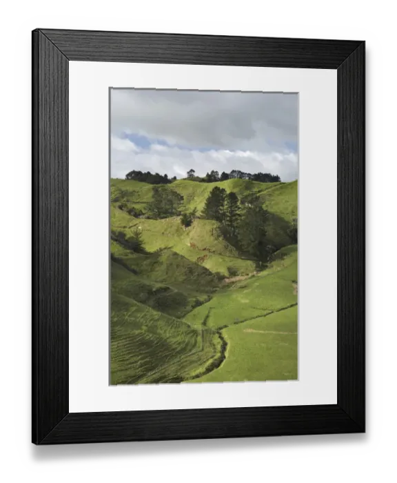 Framed Print : Farmland near Inglewood, Taranaki, North Island, New Zealand