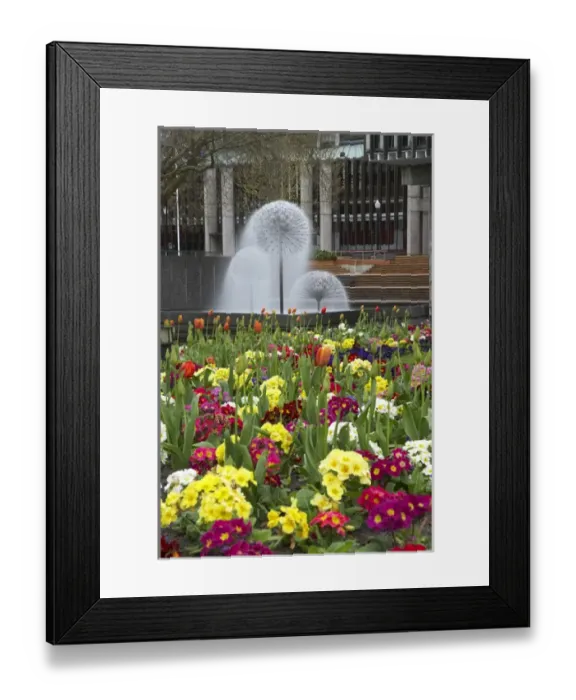 Framed Print : Flowers, Victoria Square, and Town Hall Fountain, Christchurch, Canterbury, South Island Framed Print : Flowers, Victoria Square, and Town Hall Fountain, Christchurch, Canterbury, South Island