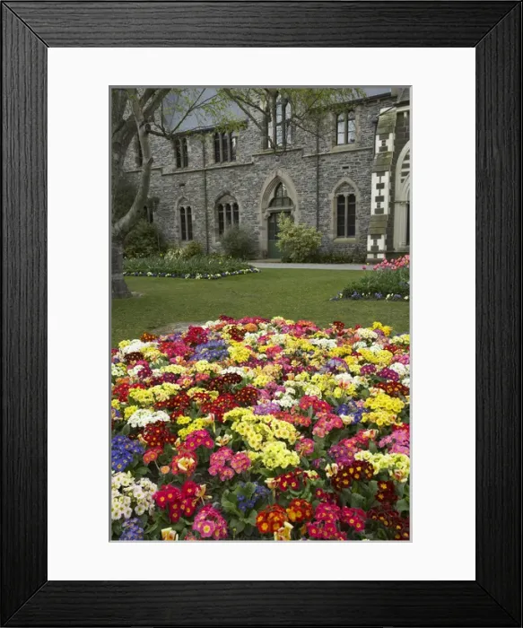 Framed Print : Christchurch Botanic Gardens and Historic Canterbury Museum, Christchurch, Canterbury