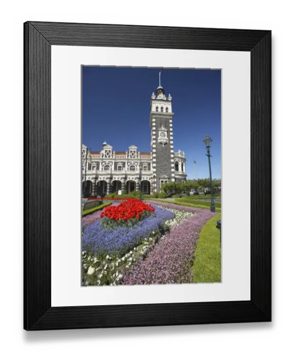 Framed Print : Spring Flowers and Historic Railway Station, Dunedin, South Island, New Zealand Framed Print : Spring Flowers and Historic Railway Station, Dunedin, South Island, New Zealand