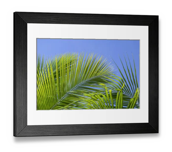 Framed Print : Dominican Republic, Bayahibe, Viva Wyndham Dominicus Beach Framed Print : Dominican Republic, Bayahibe, Viva Wyndham Dominicus Beach