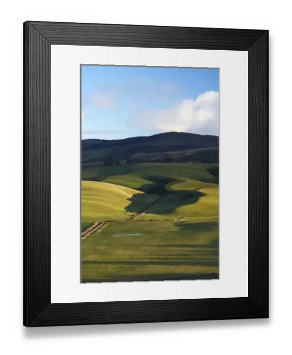 Framed Print : New Zealand, South Island, South Otago, Late Light on Rolling Farmland near Balclutha Framed Print : New Zealand, South Island, South Otago, Late Light on Rolling Farmland near Balclutha
