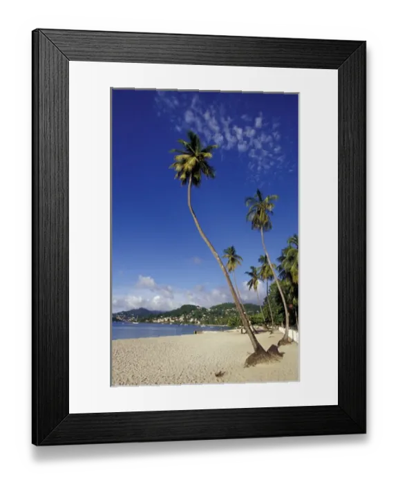 Framed Print : CARIBBEAN, Grenada Palm trees lining the beach Framed Print : CARIBBEAN, Grenada Palm trees lining the beach