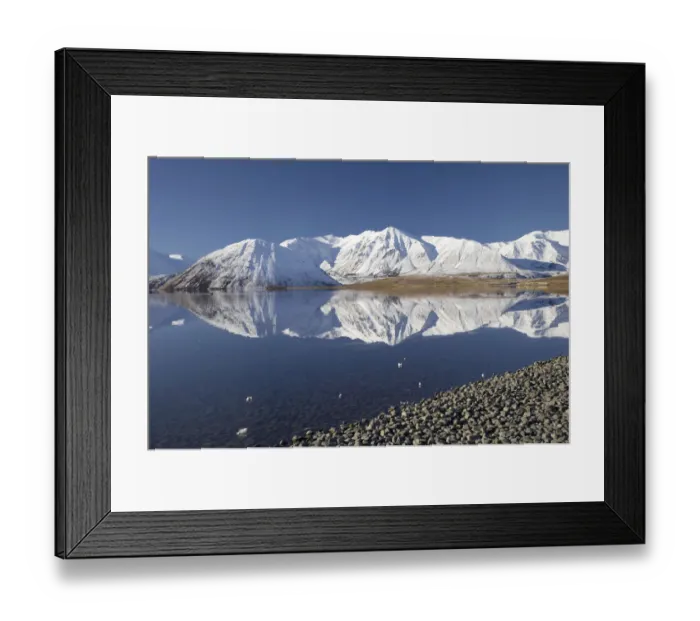 Framed Print : New Zealand, Canterbury, Mt Sugarloaf and Mt Catherine Reflected in Lake Heron Framed Print : New Zealand, Canterbury, Mt Sugarloaf and Mt Catherine Reflected in Lake Heron