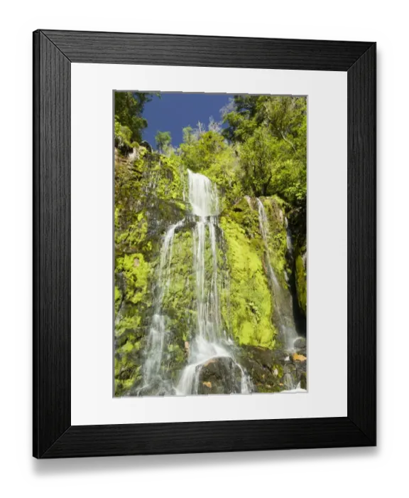 Framed Print : New Zealand, South Island, Ngakawau. Mangatini Falls along Charming Creek Walkway Framed Print : New Zealand, South Island, Ngakawau. Mangatini Falls along Charming Creek Walkway