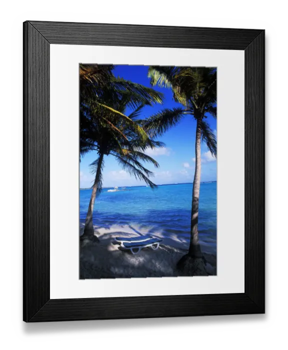 Framed Print : Palm trees and chairs in St. Francois, Guadeloupe Framed Print : Palm trees and chairs in St. Francois, Guadeloupe