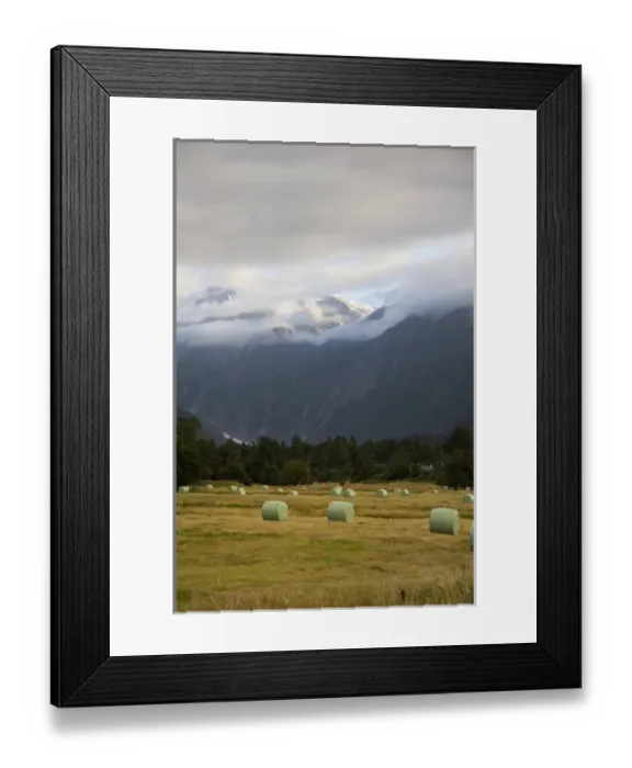 Framed Print : Franz Josef, New Zealand. Farmland surrounding Franz Josef. The glacier can be seen Framed Print : Franz Josef, New Zealand. Farmland surrounding Franz Josef. The glacier can be seen