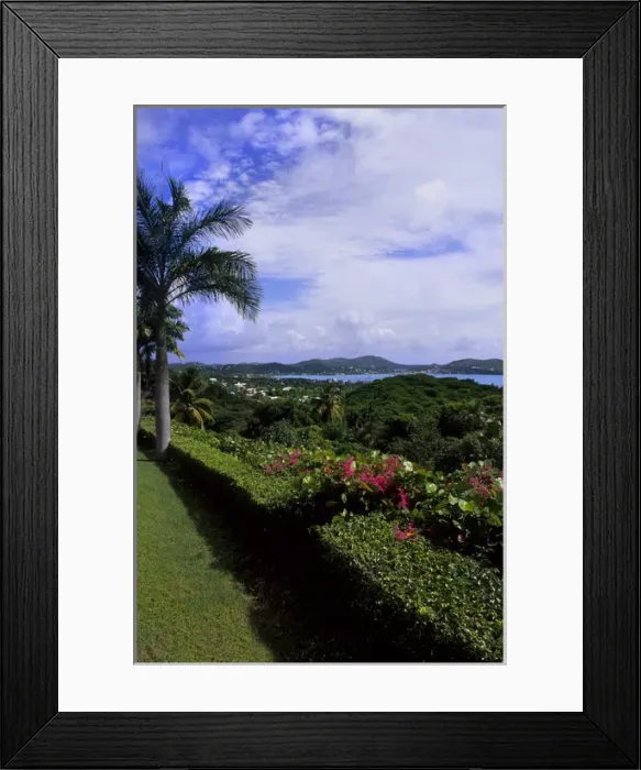 Framed Print : Overlook of trees and ocean in colorful English Harbour in Antigua Framed Print : Overlook of trees and ocean in colorful English Harbour in Antigua