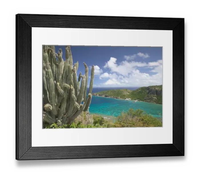 Framed Print : FRENCH WEST INDIES (FWI)-Guadaloupe-Les-Saintes Islands-TERRE-DE-HAUT Framed Print : FRENCH WEST INDIES (FWI)-Guadaloupe-Les-Saintes Islands-TERRE-DE-HAUT