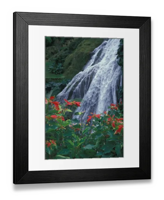 Framed Print : Waterfall. Caribbean, Jamaica, Waterfall, Ochos Rios, Shaw Park Gardens Framed Print : Waterfall. Caribbean, Jamaica, Waterfall, Ochos Rios, Shaw Park Gardens