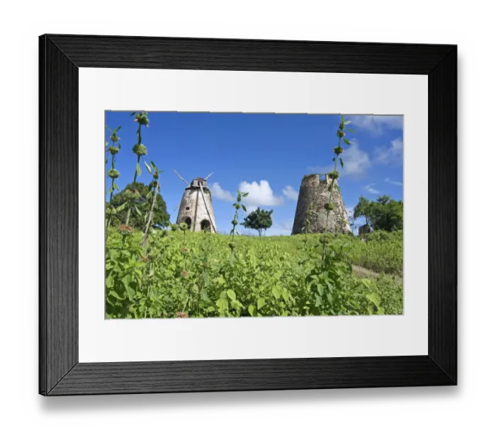 Framed Print : Bettys Hope windmills, Antigua, West Indies, Caribbean, Central America