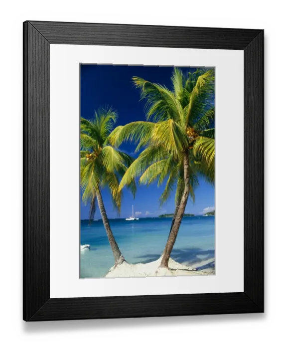 Framed Print : Negril, Jamaica, West Indies. Three palm trees at the edge of the blue sea with catamaran Framed Print : Negril, Jamaica, West Indies. Three palm trees at the edge of the blue sea with catamaran