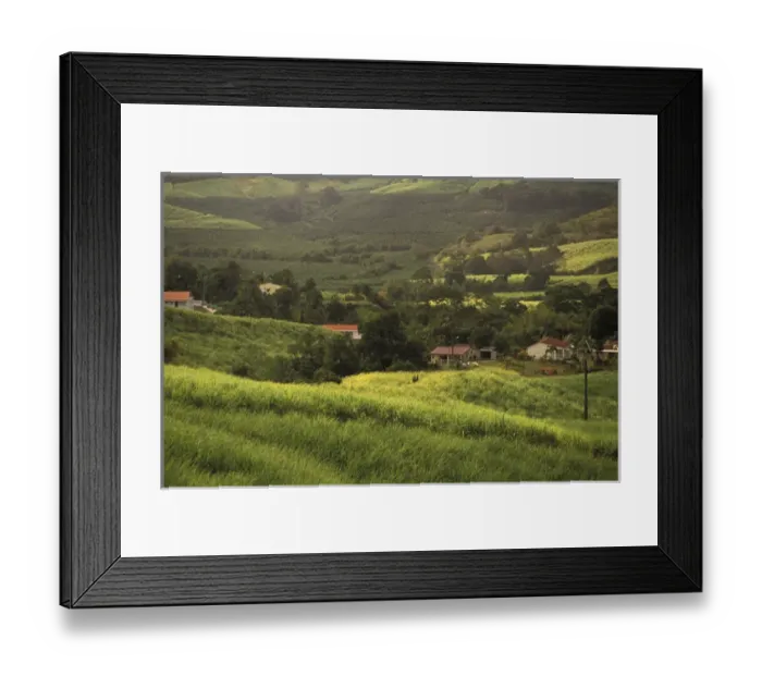 Framed Print : Caribbean, French West Indies, Martinique; La Trinite Sugar cane fields