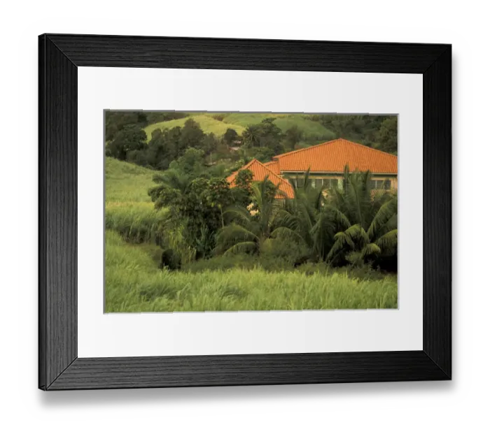 Framed Print : Caribbean, French West Indies, Martinique; Le Trinite Red-roofed sugar plantation Framed Print : Caribbean, French West Indies, Martinique; Le Trinite Red-roofed sugar plantation