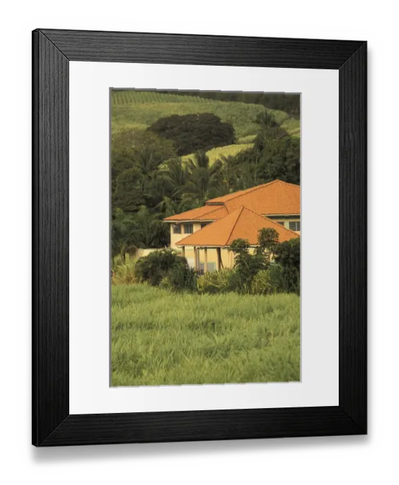 Framed Print : Caribbean, French West Indies, Martinique; Le Trinite Red-roofed sugar plantation Framed Print : Caribbean, French West Indies, Martinique; Le Trinite Red-roofed sugar plantation