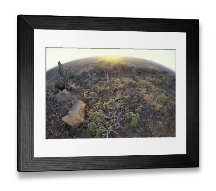 Framed Print : Caribbean, Dutch Antilles, Aruba Arikok NP Framed Print : Caribbean, Dutch Antilles, Aruba Arikok NP