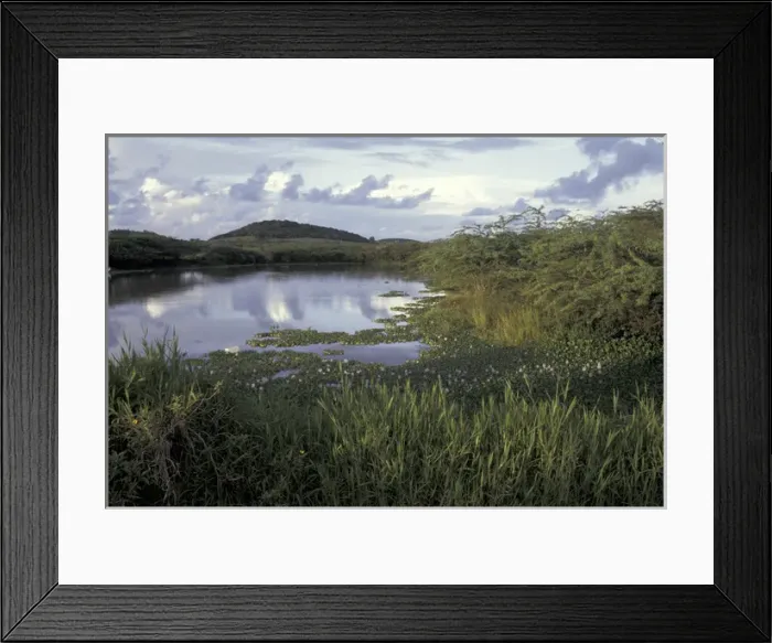 Framed Print : Caribbean, Antigua Willikies Lagoon Framed Print : Caribbean, Antigua Willikies Lagoon